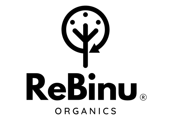 ReBinu Korea